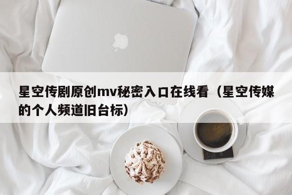 星空传剧原创mv秘密入口在线看（星空传媒的个人频道旧台标）