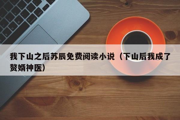 我下山之后苏辰免费阅读小说（下山后我成了赘婿神医）
