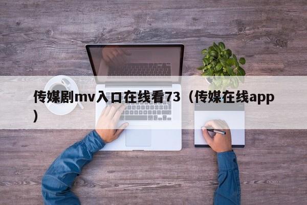 传媒剧mv入口在线看73（传媒在线app）